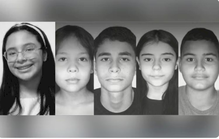 Cinco estudantes de colégio militar morrem em acidente entre van escolar e caminhão na GO-518